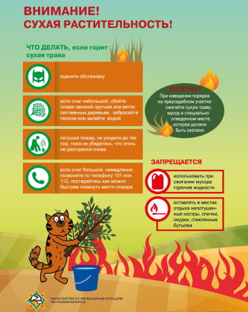 Опасность весенних палов