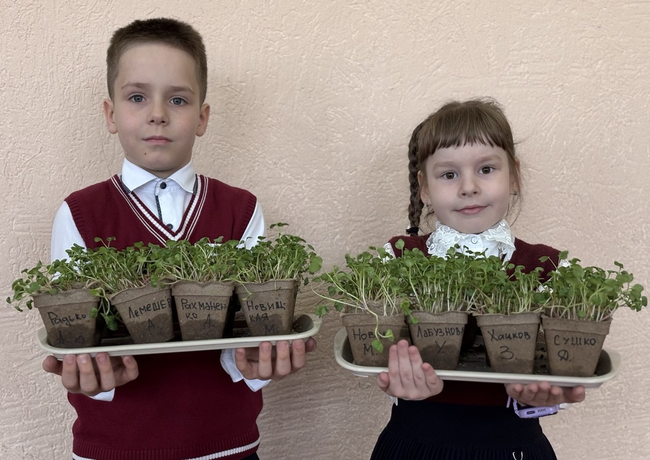 🌿 Всё получилось!
